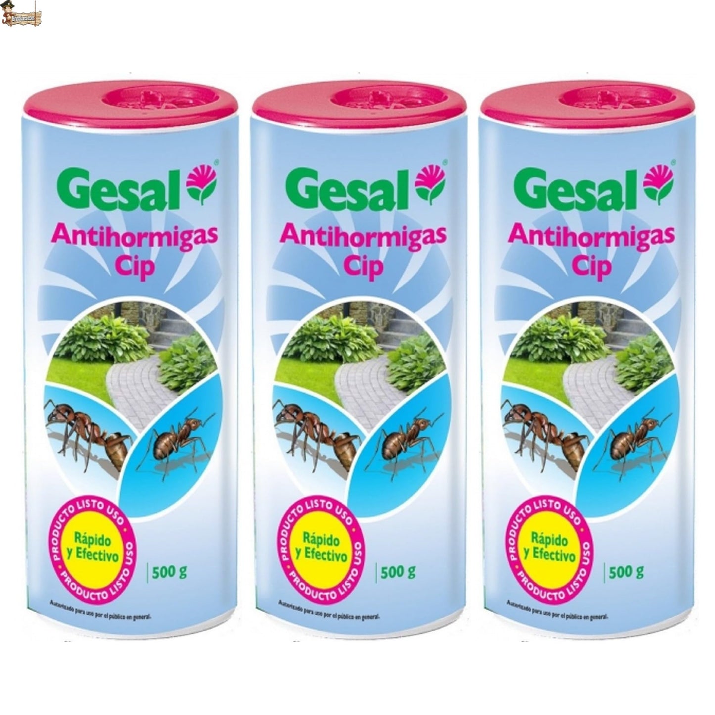 amazon1