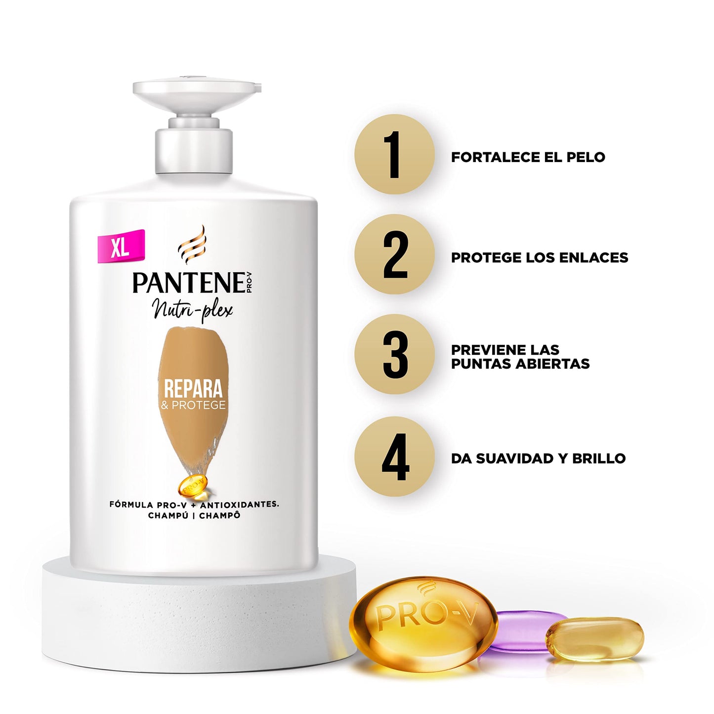 Pantene Champú Repara & Protege Nutri Pro-V, fórmula Pro-V + antioxidantes, para cabello débil y dañado, 340ML