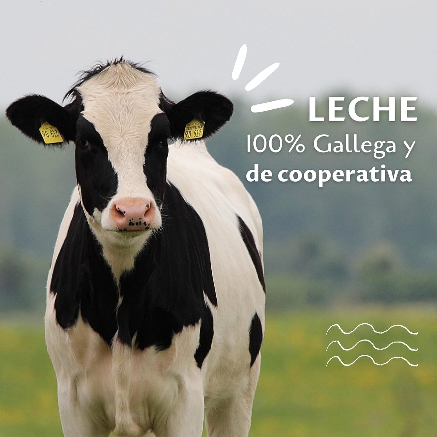 Leche Clesa SIN LACTOSA Semi Desnatada - 6 Bricks de 1 Litro - 100% Leche Gallega - Tapon Anti Goteo - 6 Litros Leche Sin Lactosa [CLESA]