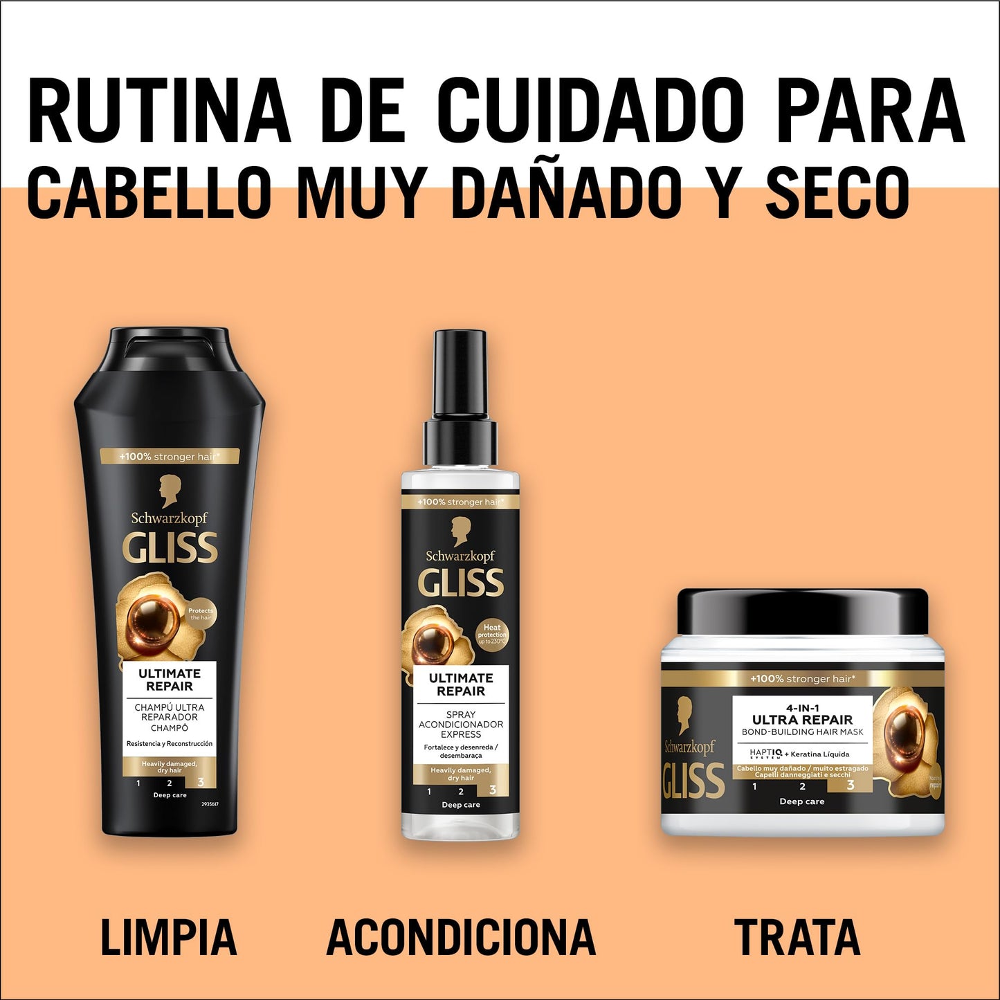 https://m.media-amazon.com/images/I/71I2I9tMGDL.jpg