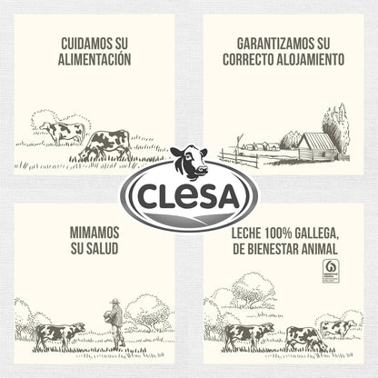 Leche Clesa SIN LACTOSA Semi Desnatada - 6 Bricks de 1 Litro - 100% Leche Gallega - Tapon Anti Goteo - 6 Litros Leche Sin Lactosa [CLESA]