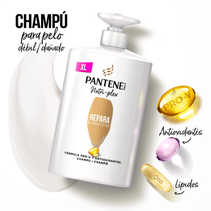 Pantene Champú Repara & Protege Nutri Pro-V, fórmula Pro-V + antioxidantes, para cabello débil y dañado, 340ML