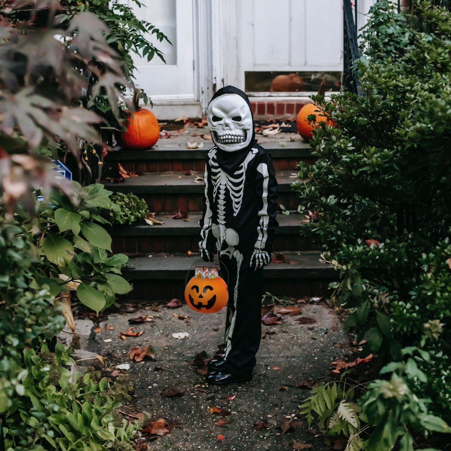 Calabazas - Calaveras Halloween