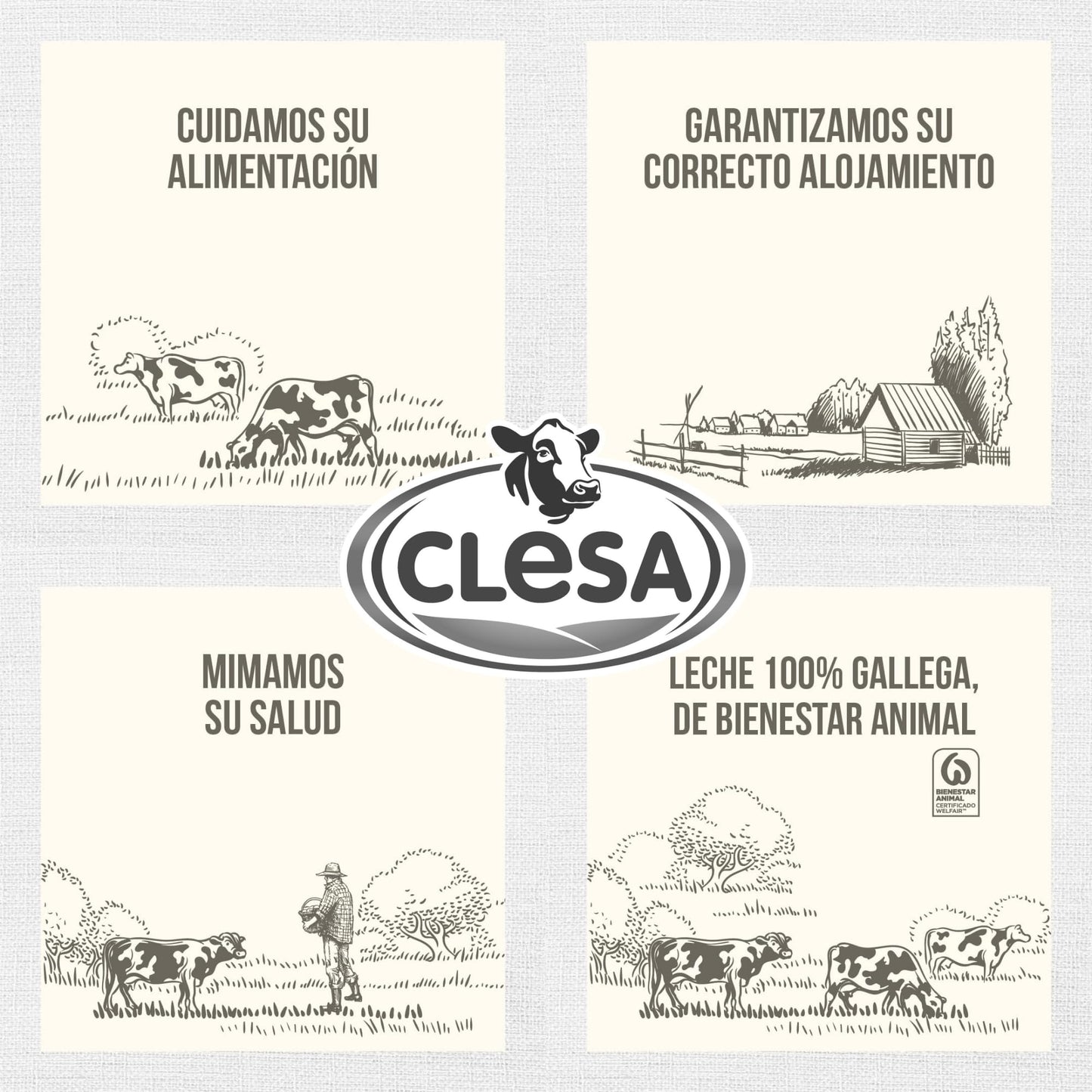 Leche Clesa Semidesnatada Especial Hosteleria