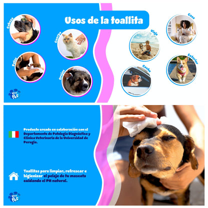 TOALLITAS para PERROS | Toallitas Higiénicas para Mascotas | 100 Unidades | con CLORHEXIDINA | Protegen PH Natural | Perfumadas con Almizcle