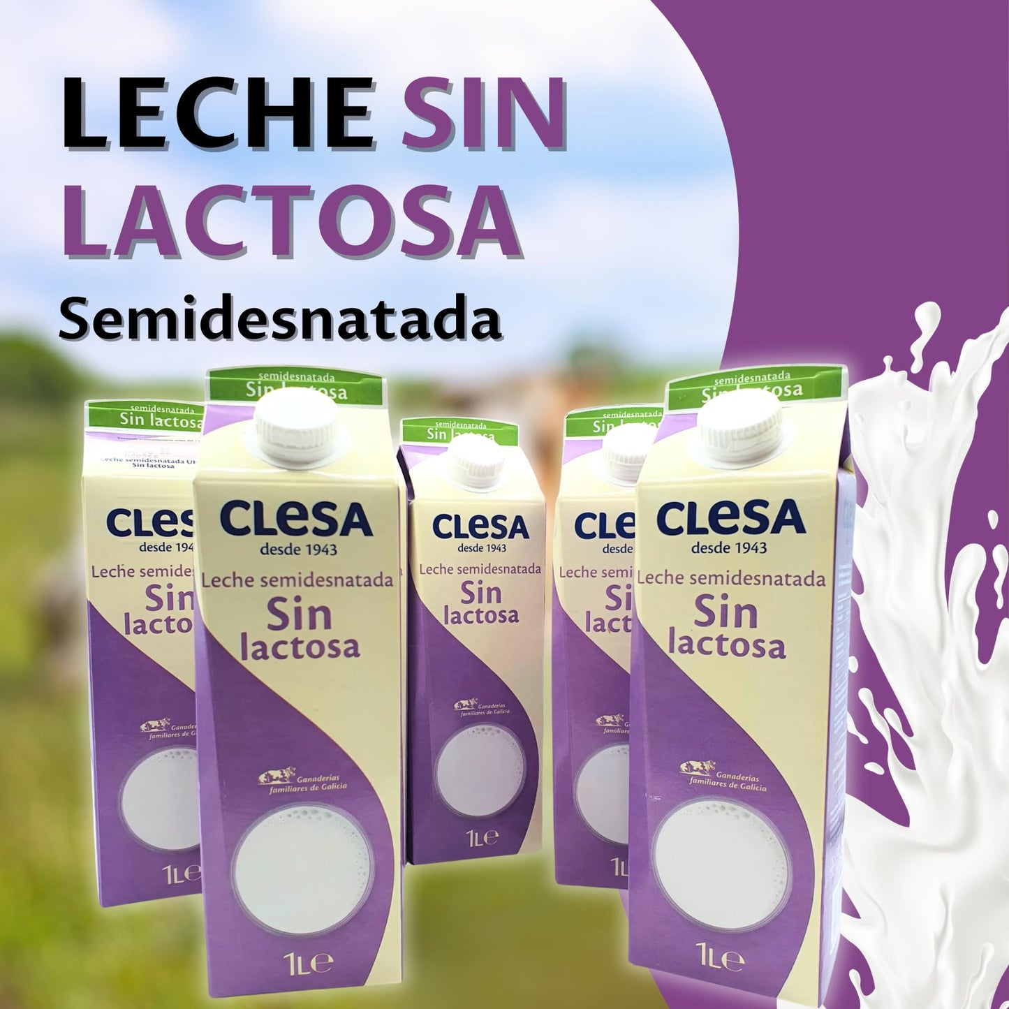 Leche Clesa SIN LACTOSA Semi Desnatada - 6 Bricks de 1 Litro - 100% Leche Gallega - Tapon Anti Goteo - 6 Litros Leche Sin Lactosa [CLESA]