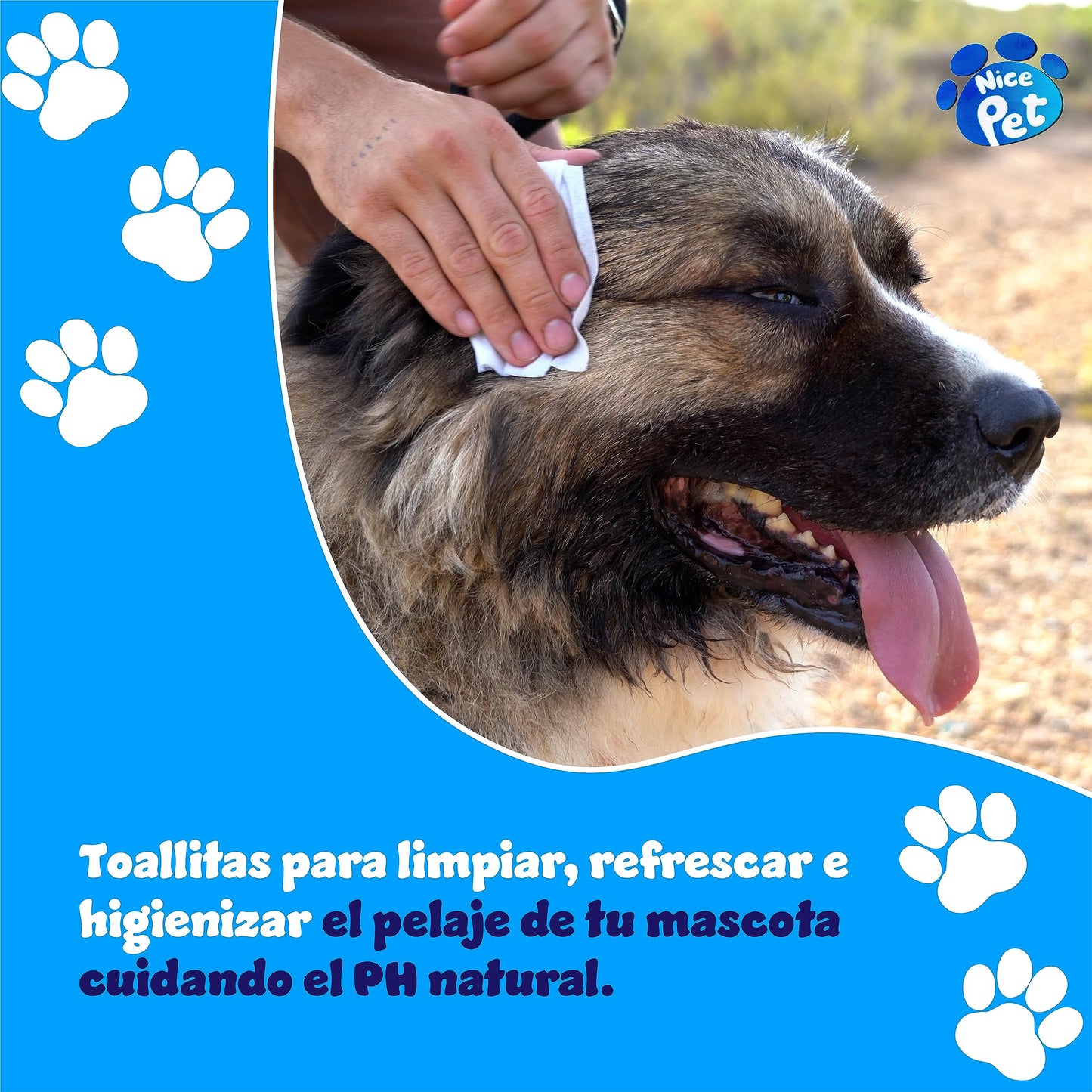 TOALLITAS para PERROS | Toallitas Higiénicas para Mascotas | 100 Unidades | con CLORHEXIDINA | Protegen PH Natural | Perfumadas con Almizcle