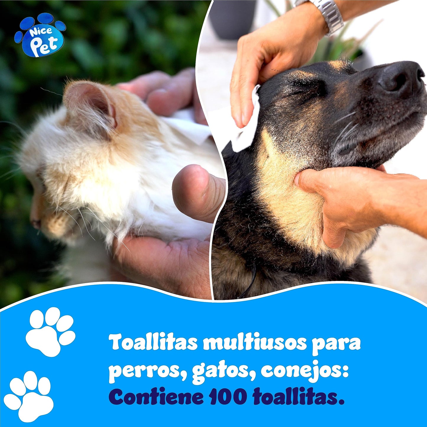 TOALLITAS para PERROS | Toallitas Higiénicas para Mascotas | 100 Unidades | con CLORHEXIDINA | Protegen PH Natural | Perfumadas con Almizcle