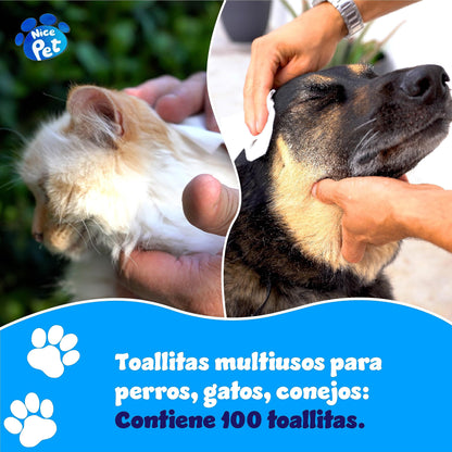 TOALLITAS para PERROS | Toallitas Higiénicas para Mascotas | 100 Unidades | con CLORHEXIDINA | Protegen PH Natural | Perfumadas con Almizcle