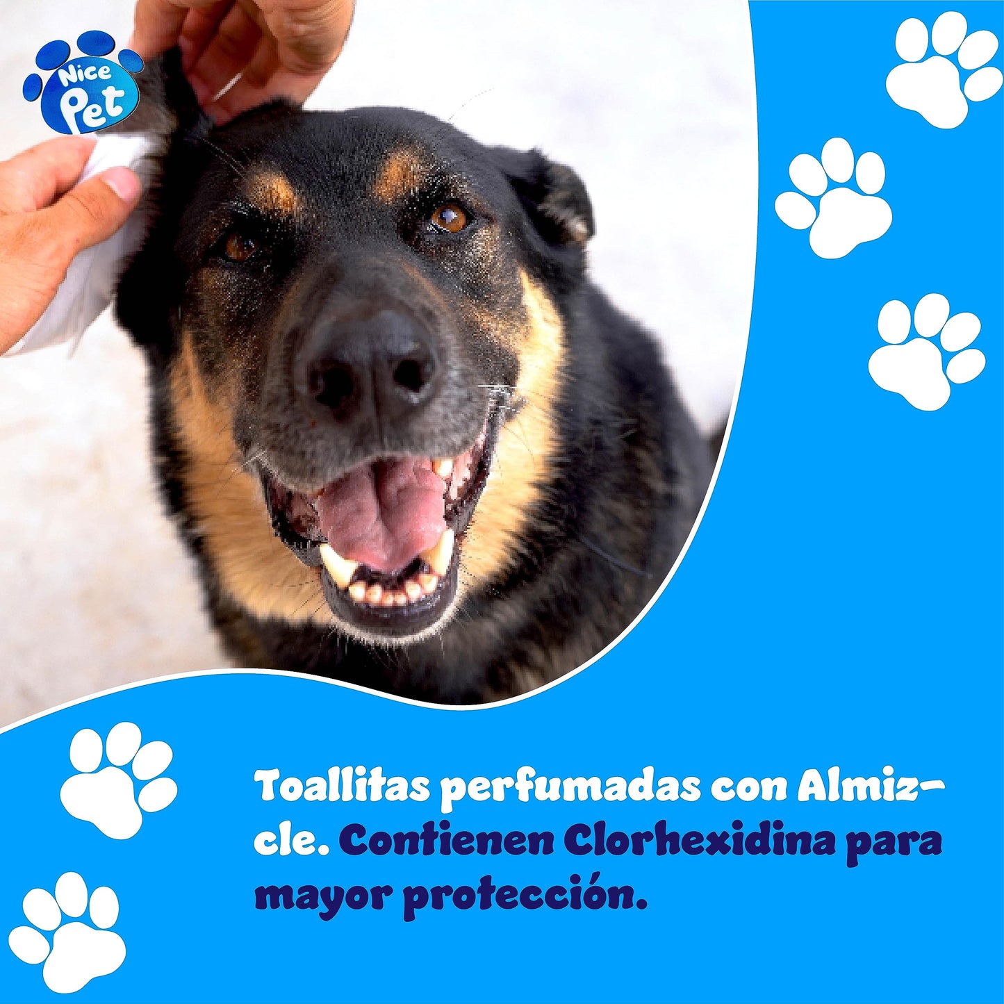 TOALLITAS para PERROS | Toallitas Higiénicas para Mascotas | 100 Unidades | con CLORHEXIDINA | Protegen PH Natural | Perfumadas con Almizcle